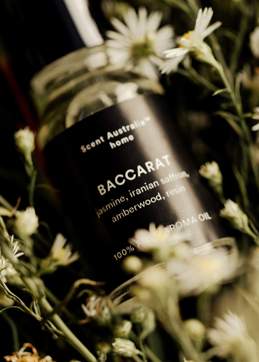 Baccarat - Scent Collection