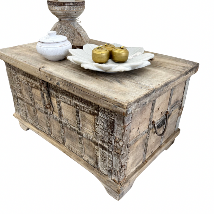 'Reya' Vintage Indian Storage Chest