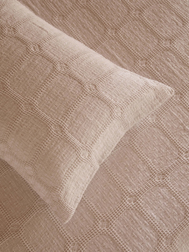 Sofia Nougat Standard Pillowcase Pair 50x75cm