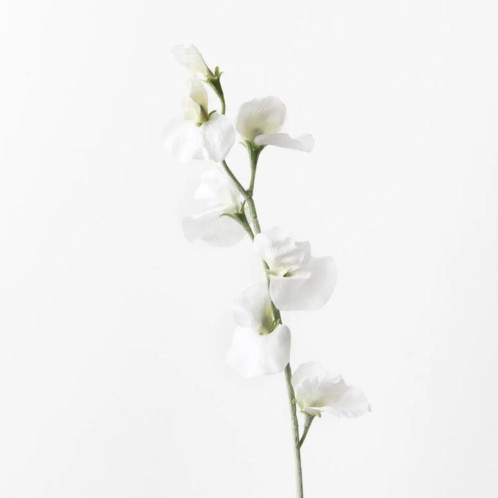 Sweet Pea Spray - White 64cml