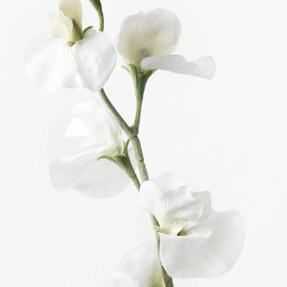 Sweet Pea Spray - White 64cml
