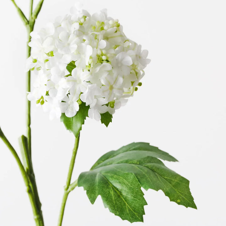 Snowball Spray - White 65cml