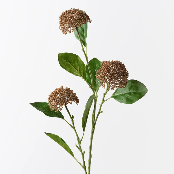 Allium Spray - Sand 76cml