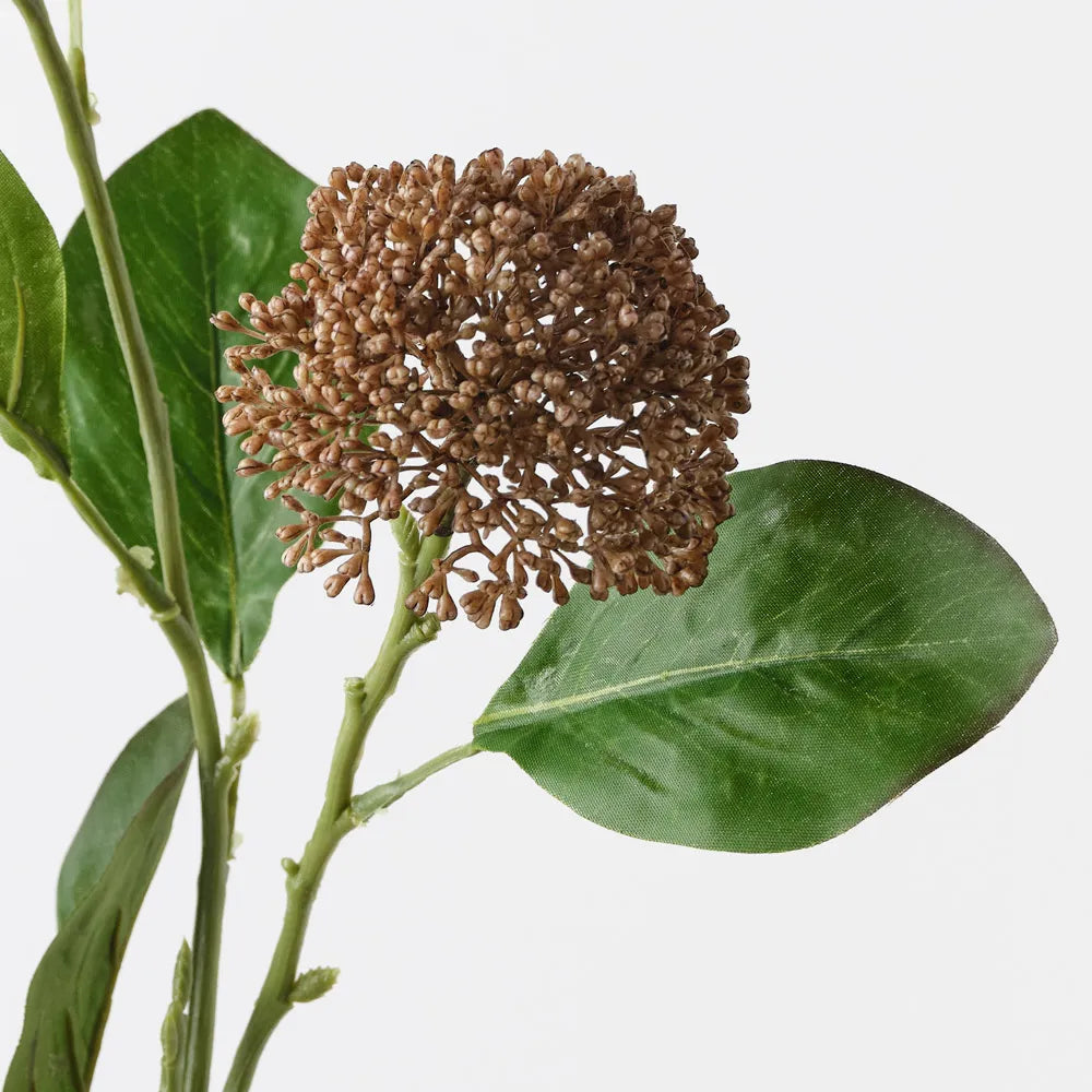Allium Spray - Sand 76cml
