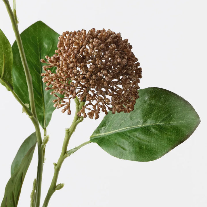 Allium Spray - Sand 76cml