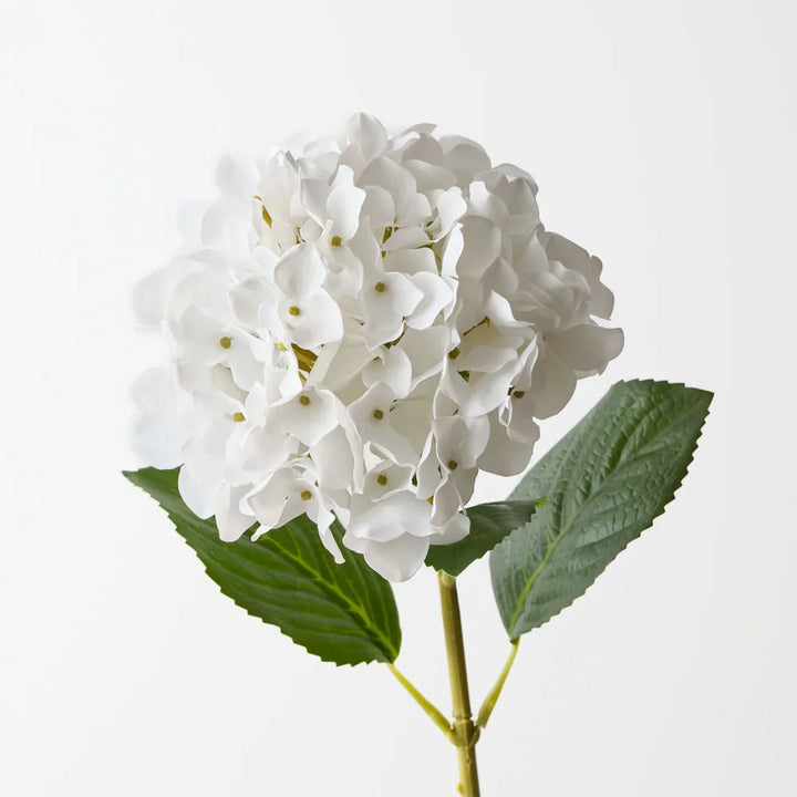 Hydrangea - White 63cm