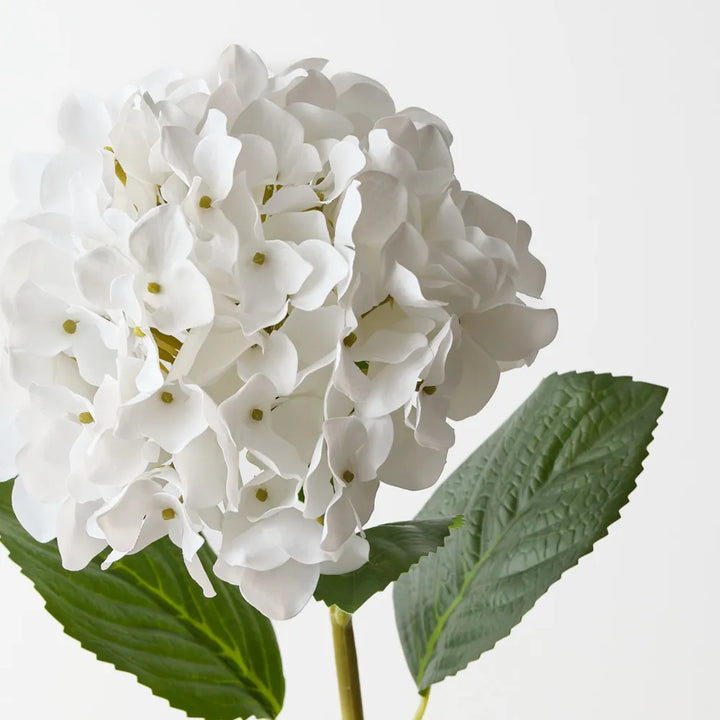 Hydrangea - White 63cm